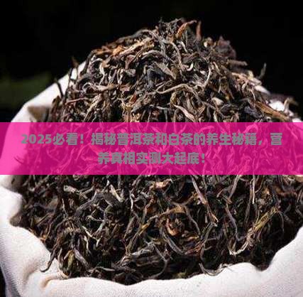 普洱茶和白茶营养比较高