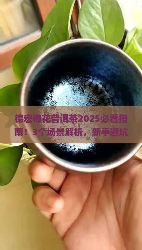 德宏梅花普洱茶