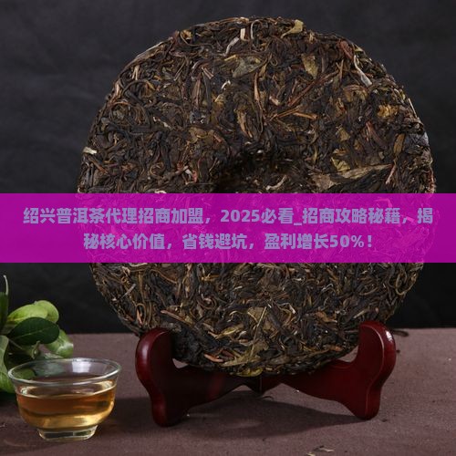 绍兴普洱茶代理招商加盟