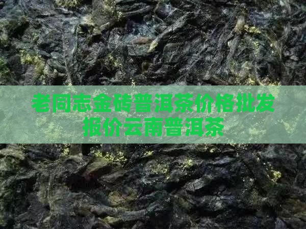 老同志金砖普洱茶价格