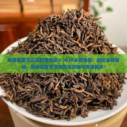 福建哪里可以买到普洱茶