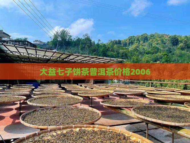 大益七子普洱茶2006