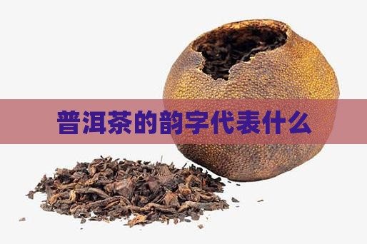 普洱茶的韵字代表什么