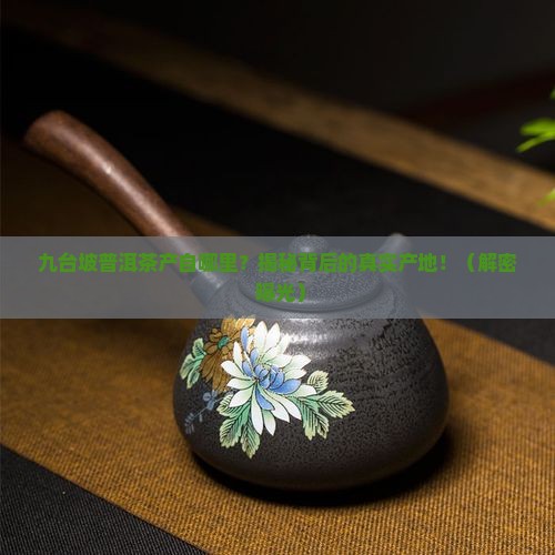 九台坡普洱茶产自
