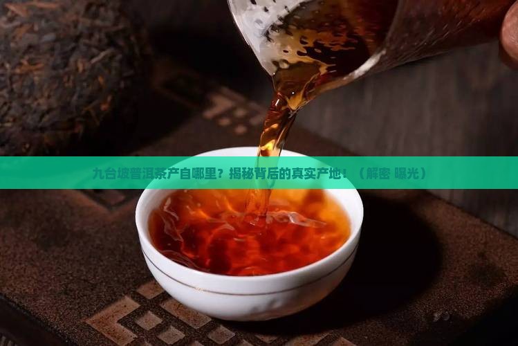 九台坡普洱茶产自