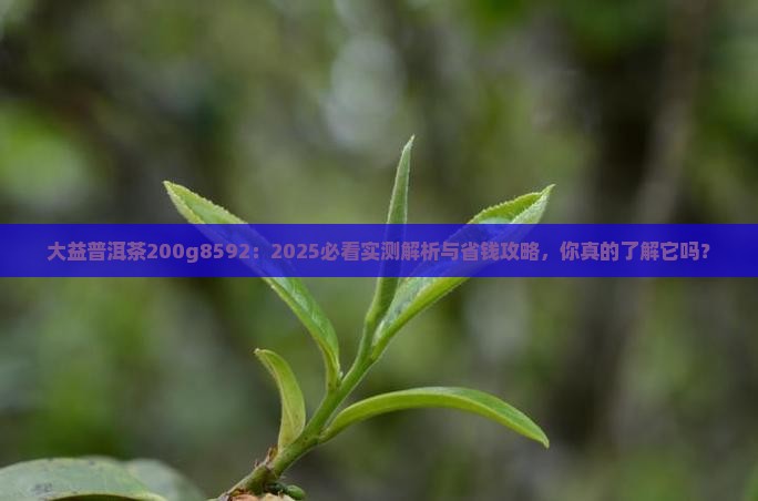 大益普洱茶200g8592