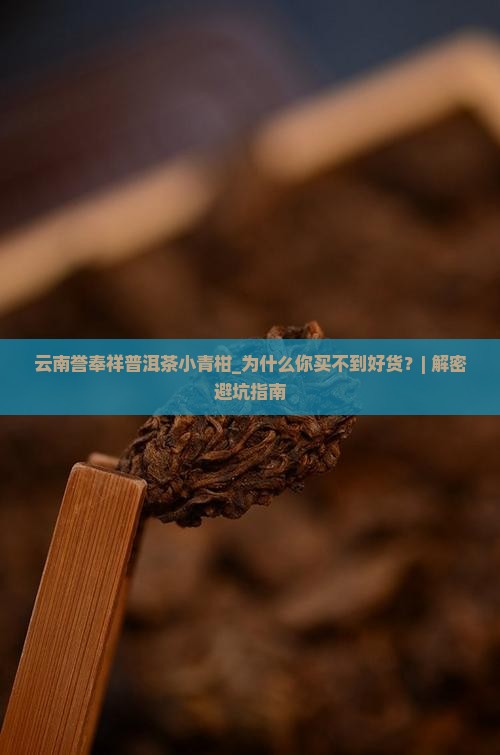 云南誉奉祥普洱茶小青柑