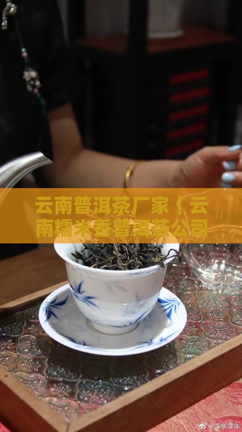 云南糯米香普洱茶厂家