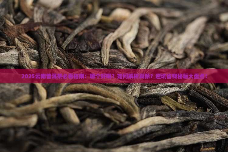 云南普洱茶哪个好喝