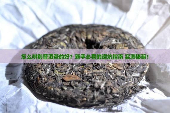 怎么辨别普洱茶的好