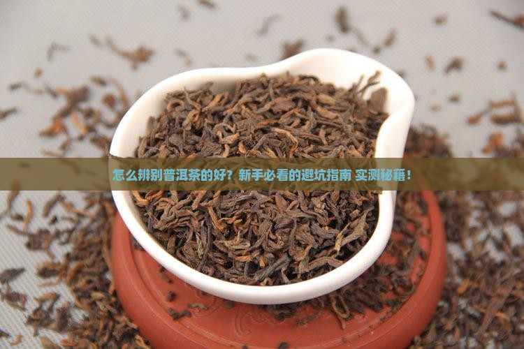 怎么辨别普洱茶的好