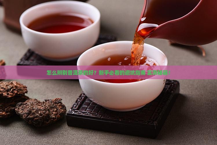 怎么辨别普洱茶的好