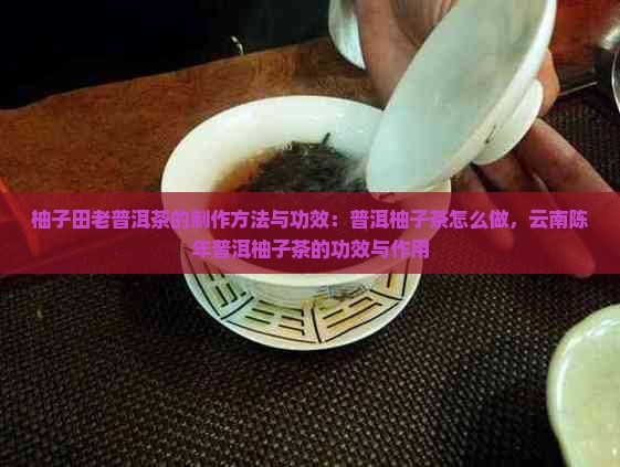 柚子田老普洱茶