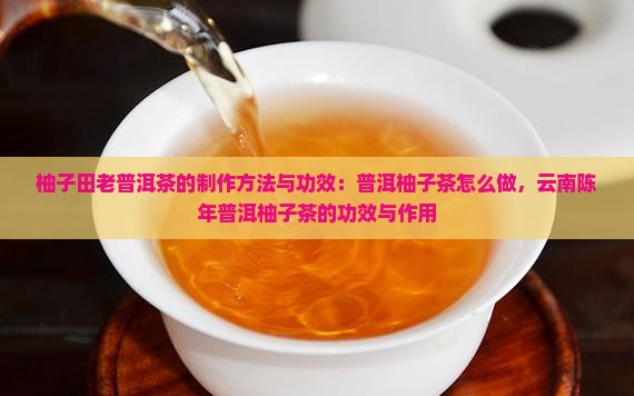 柚子田老普洱茶