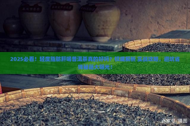 轻度脂肪肝喝普洱茶好吗