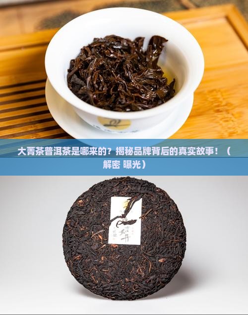 大菁茶普洱茶是哪里的品牌
