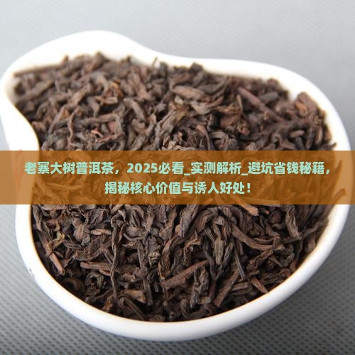 老寨大树普洱茶