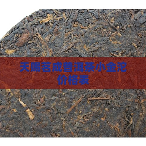 天赐茗成普洱茶小金沱