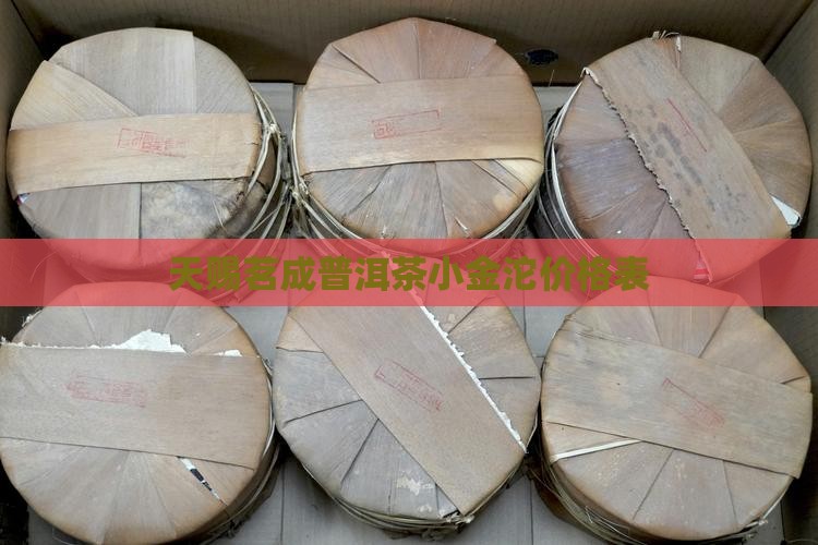 天赐茗成普洱茶小金沱