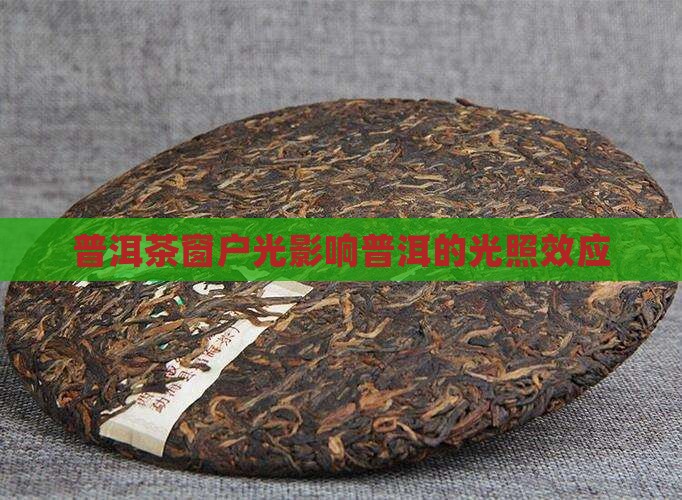 窗户光对普洱茶的影响
