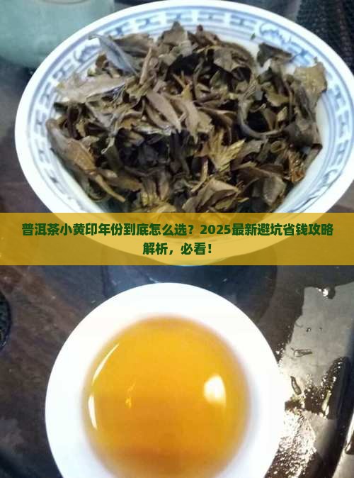 普洱茶小黄印年份