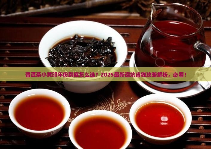 普洱茶小黄印年份