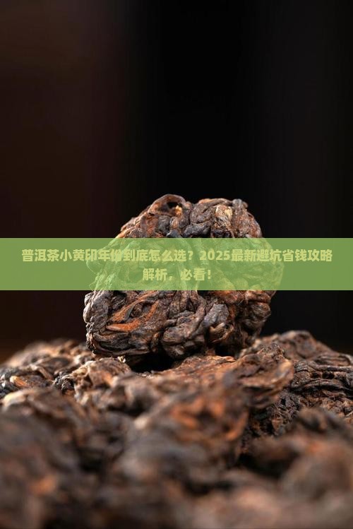 普洱茶小黄印年份
