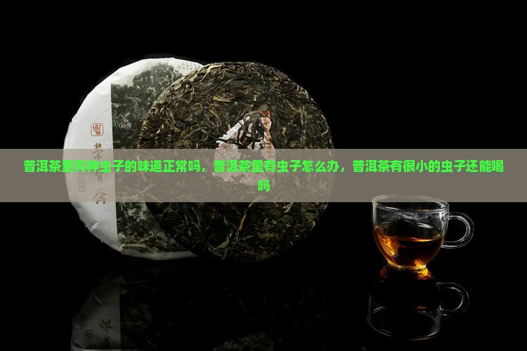 普洱茶里有种虫子的味道