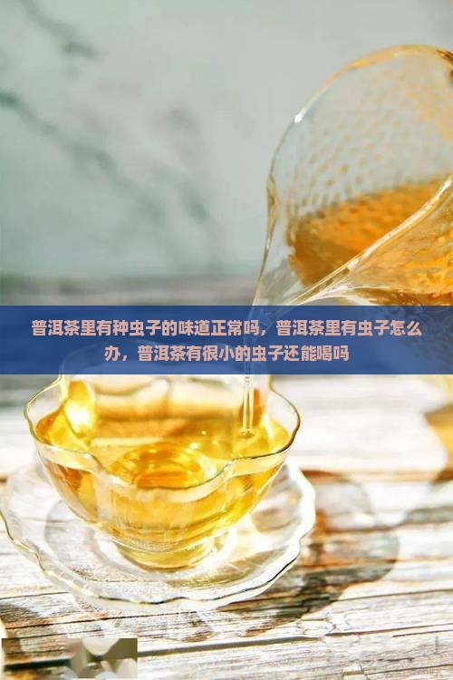 普洱茶里有种虫子的味道