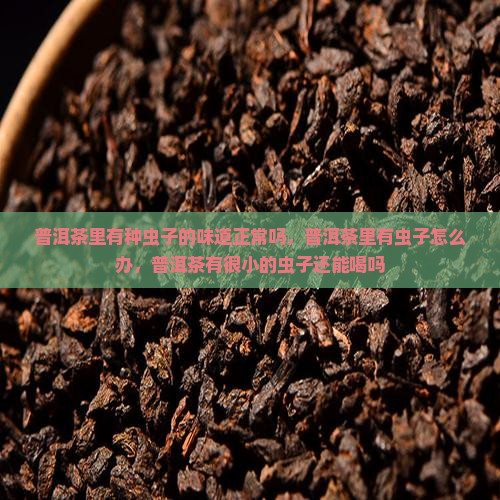 普洱茶里有种虫子的味道