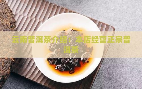 本店经营云南普洱茶介绍