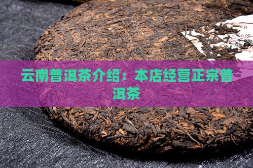 本店经营云南普洱茶介绍