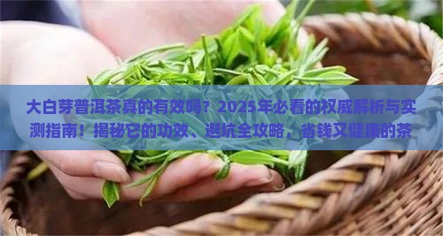 大白芽普洱茶的功效
