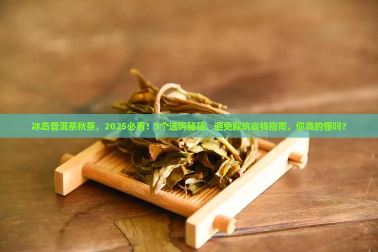 冰岛普洱茶秋茶