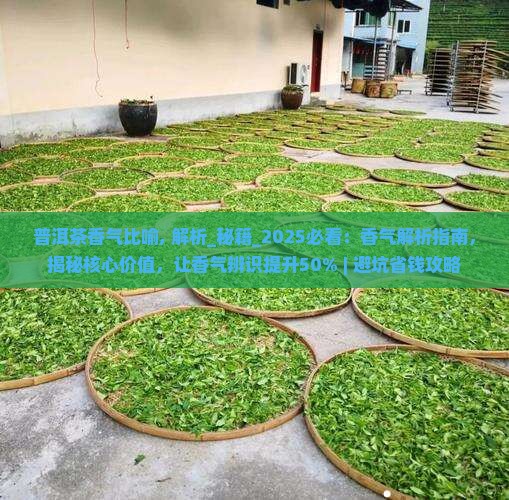 普洱茶香气比喻