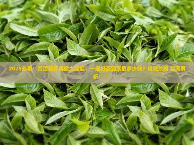 一泡最好的普洱茶多少钱