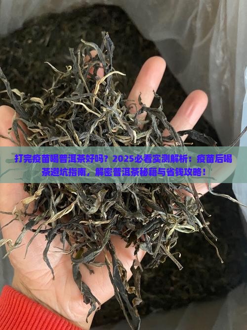打完疫苗喝普洱茶好吗