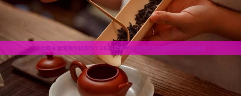 广州陈季普洱茶价格多少