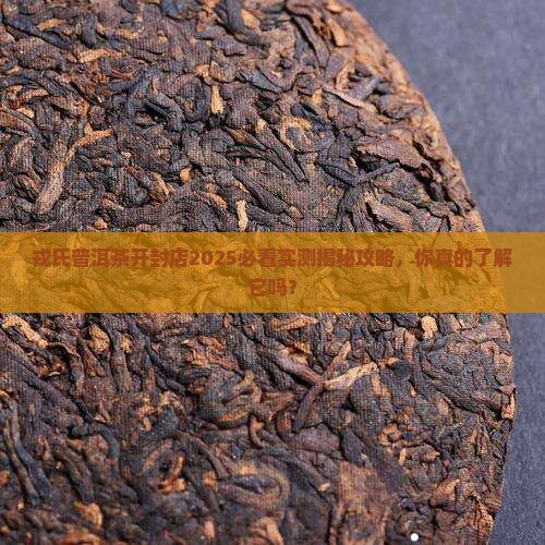 戎氏普洱茶开封店