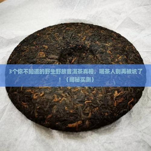 野生野放普洱茶