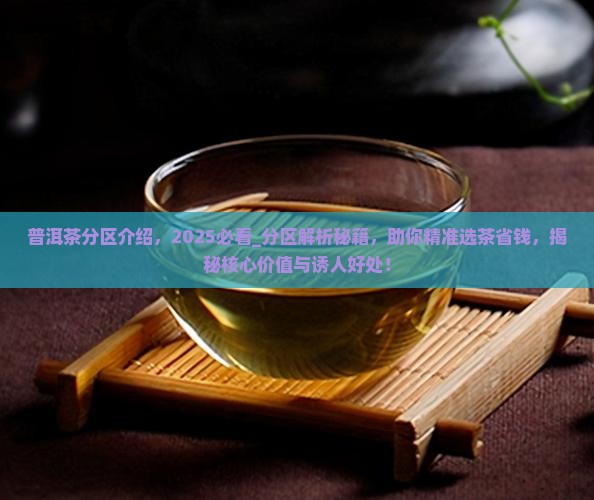 普洱茶分区介绍