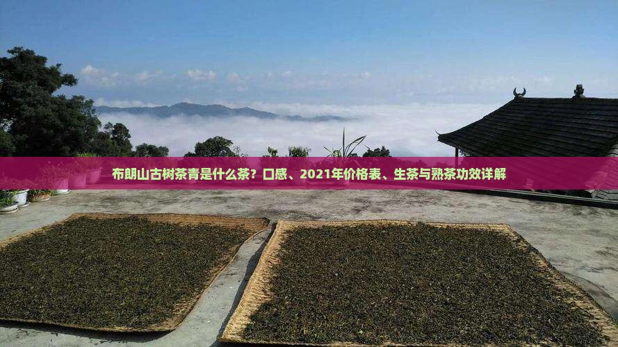布朗山古树茶青是什么茶