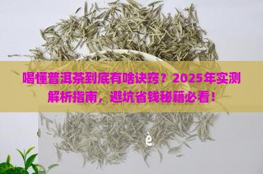 喝懂普洱茶的四个诀窍是什么