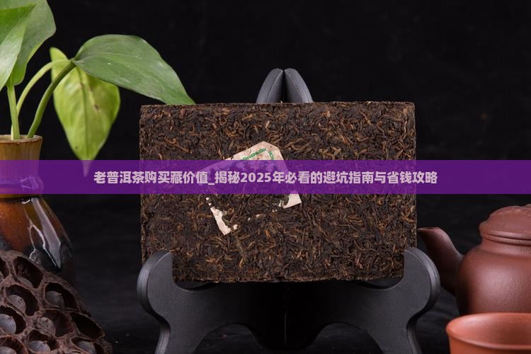 老普洱茶购买藏价值
