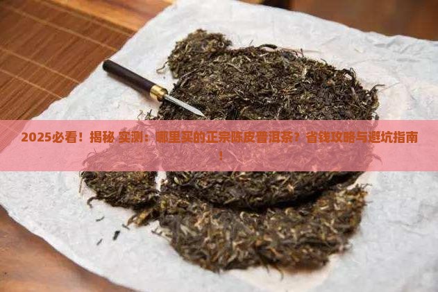 哪里买的正宗陈皮普洱茶