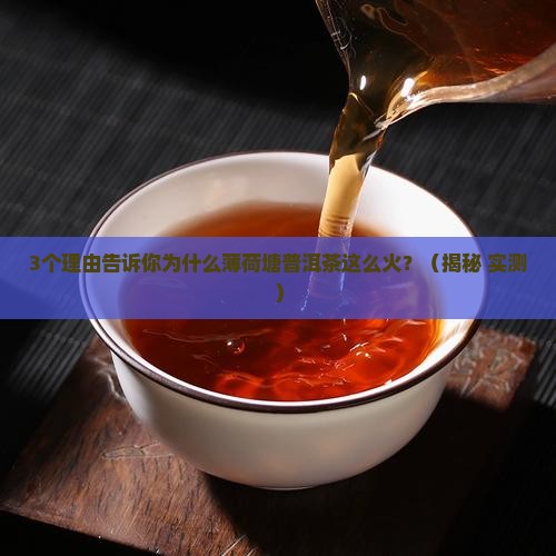 薄荷塘普洱茶有什么特点