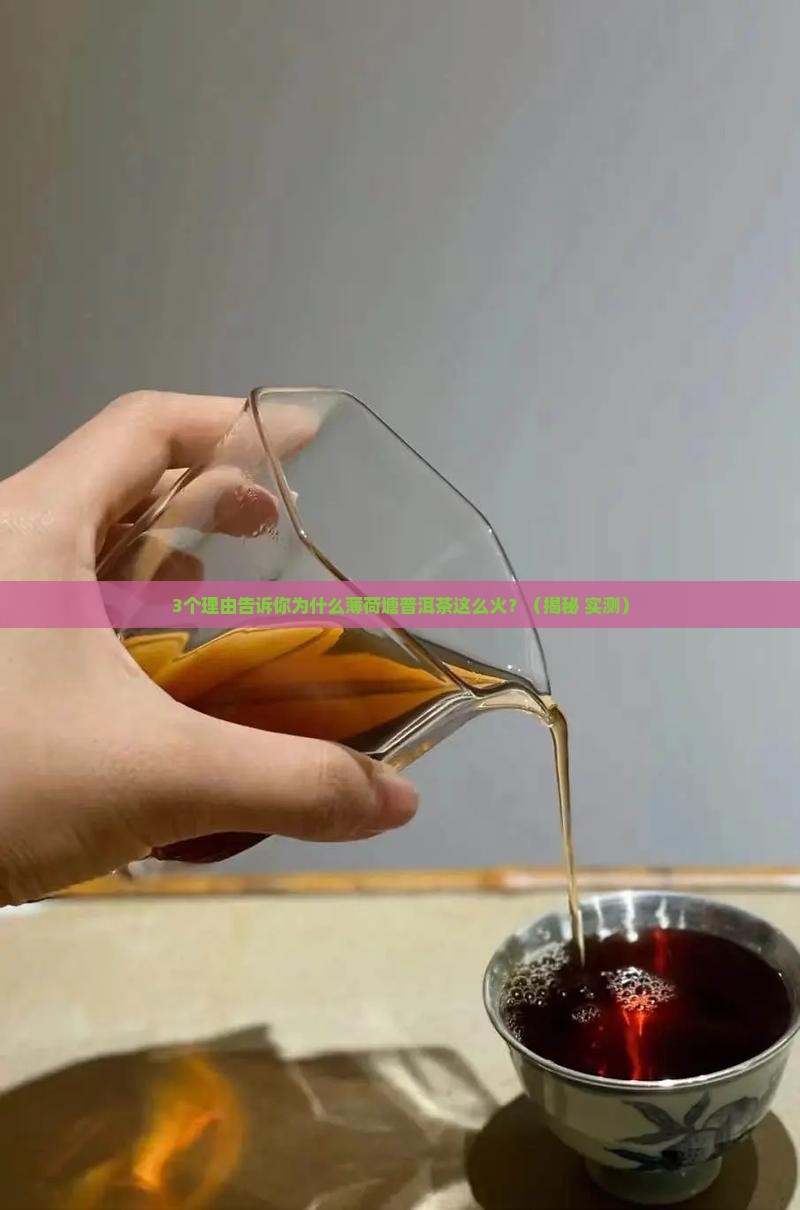 薄荷塘普洱茶有什么特点