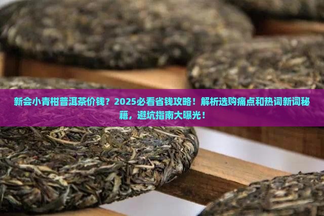 新会小青柑普洱茶价钱