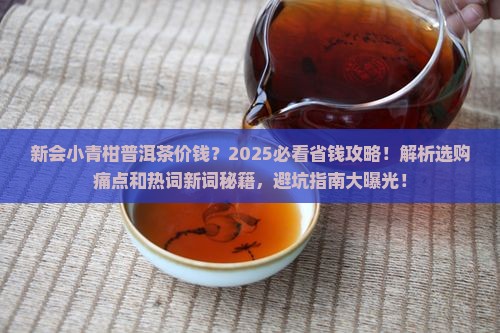 新会小青柑普洱茶价钱