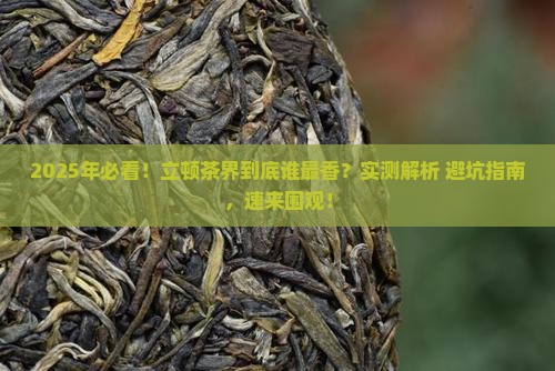 立顿的哪种茶比较好喝
